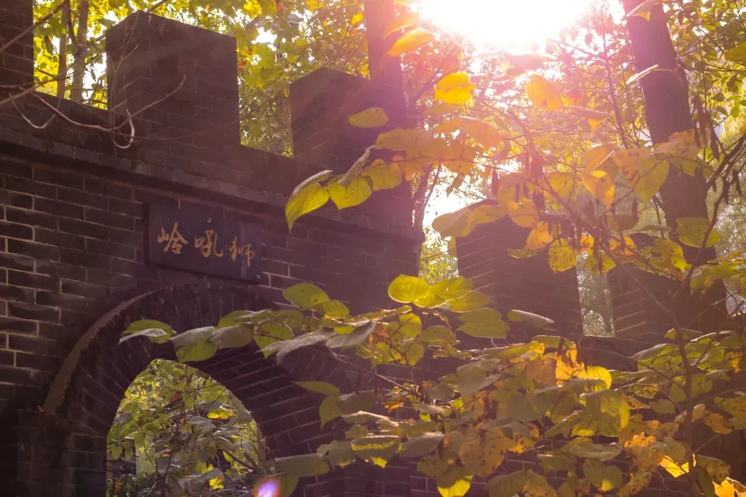 武生院(武生院到汉口火车站地铁)