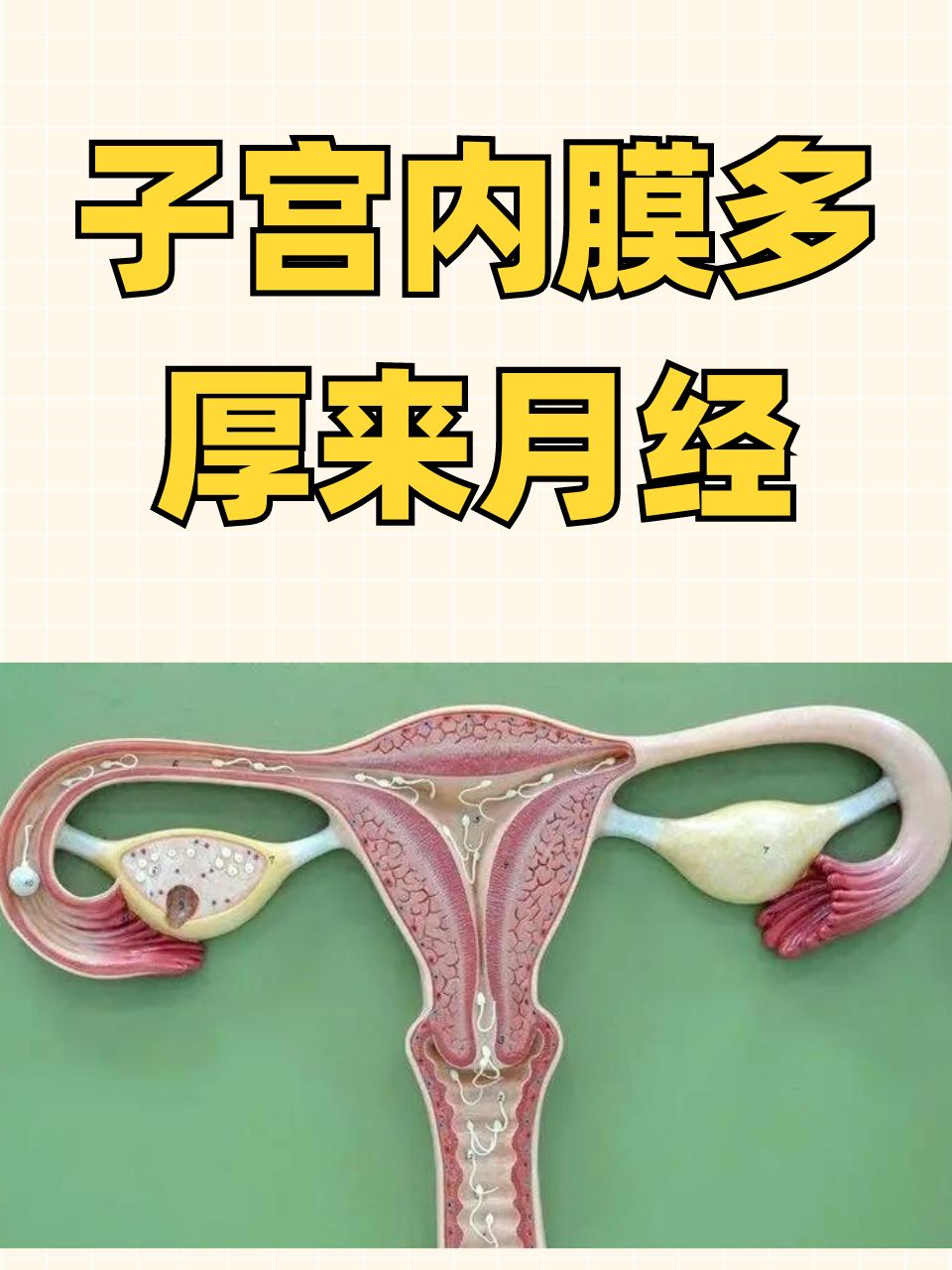 子宫内膜厚-子宫内膜厚怎么治疗最好