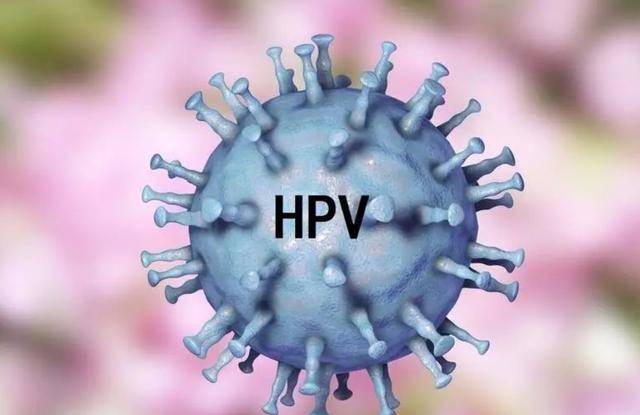 hpv是什么-hpv是什么病,能彻底治好吗