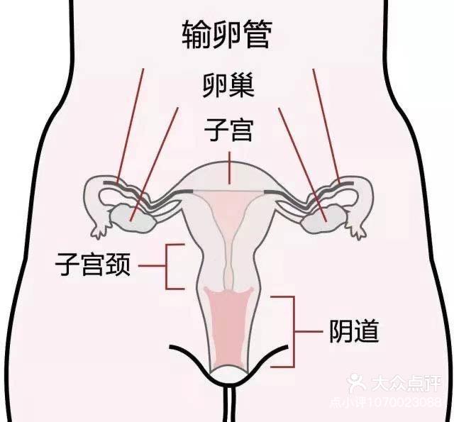 子宫口-子宫口有一个硬疙瘩是怎么回事