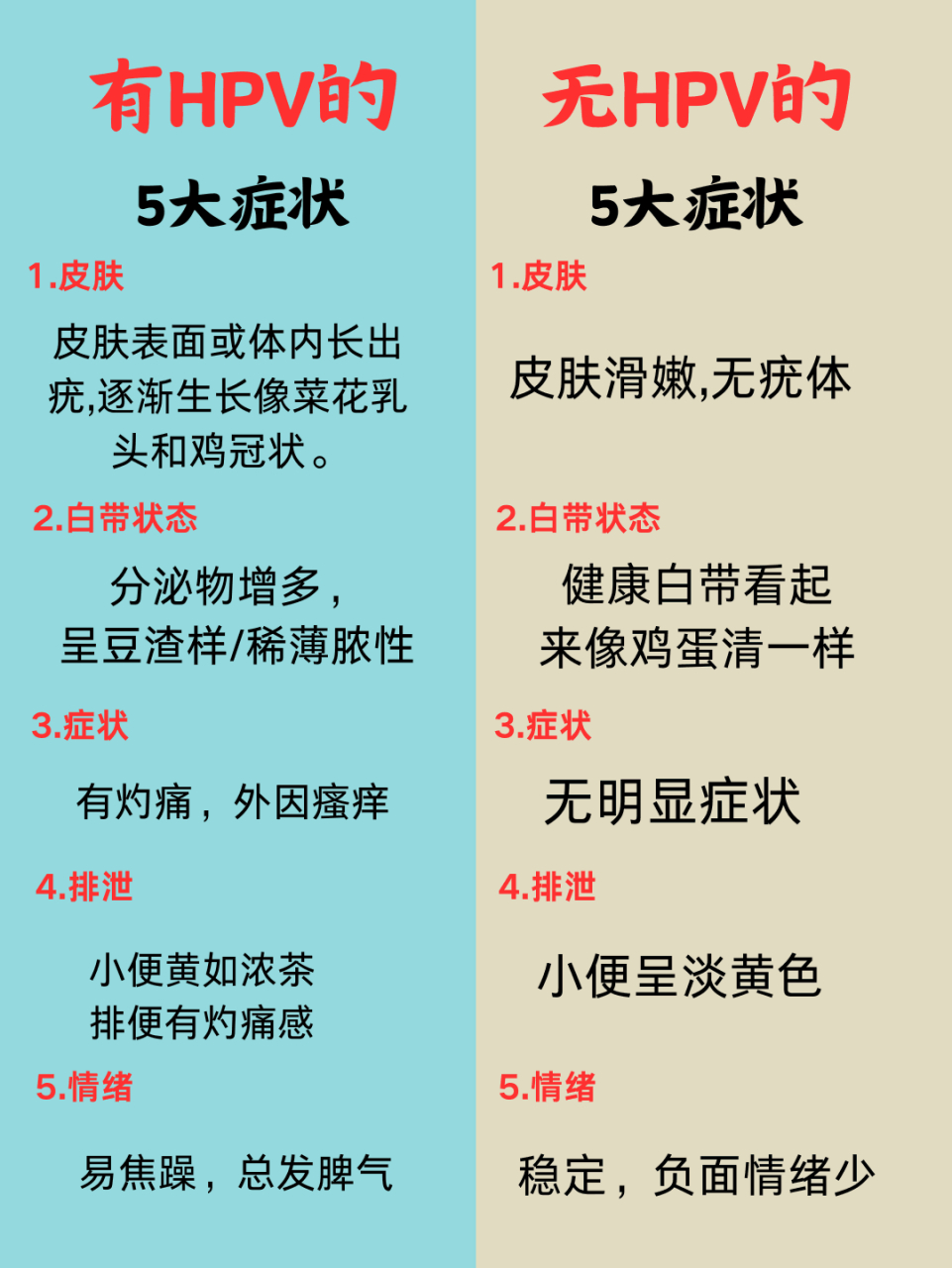 hpv怎么感染的(人乳头瘤病毒hpv怎么感染的)