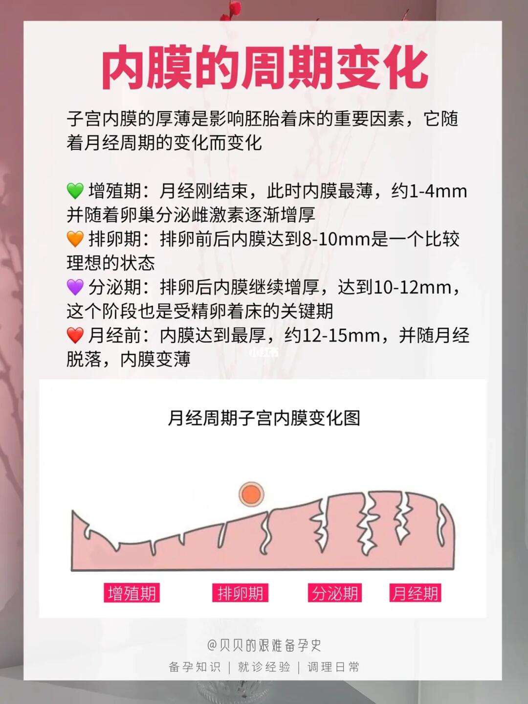 子宫内膜正常厚度(子宫内膜正常厚度18严重吗)