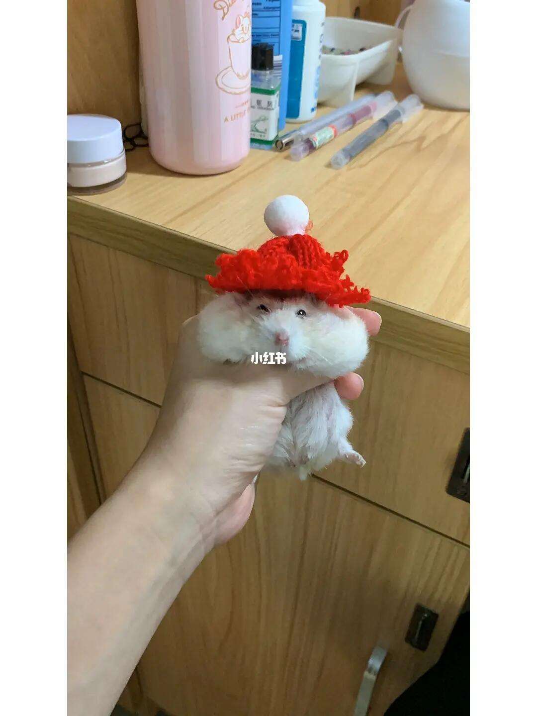 太大了进不去(我快坚持不住了我好难过)