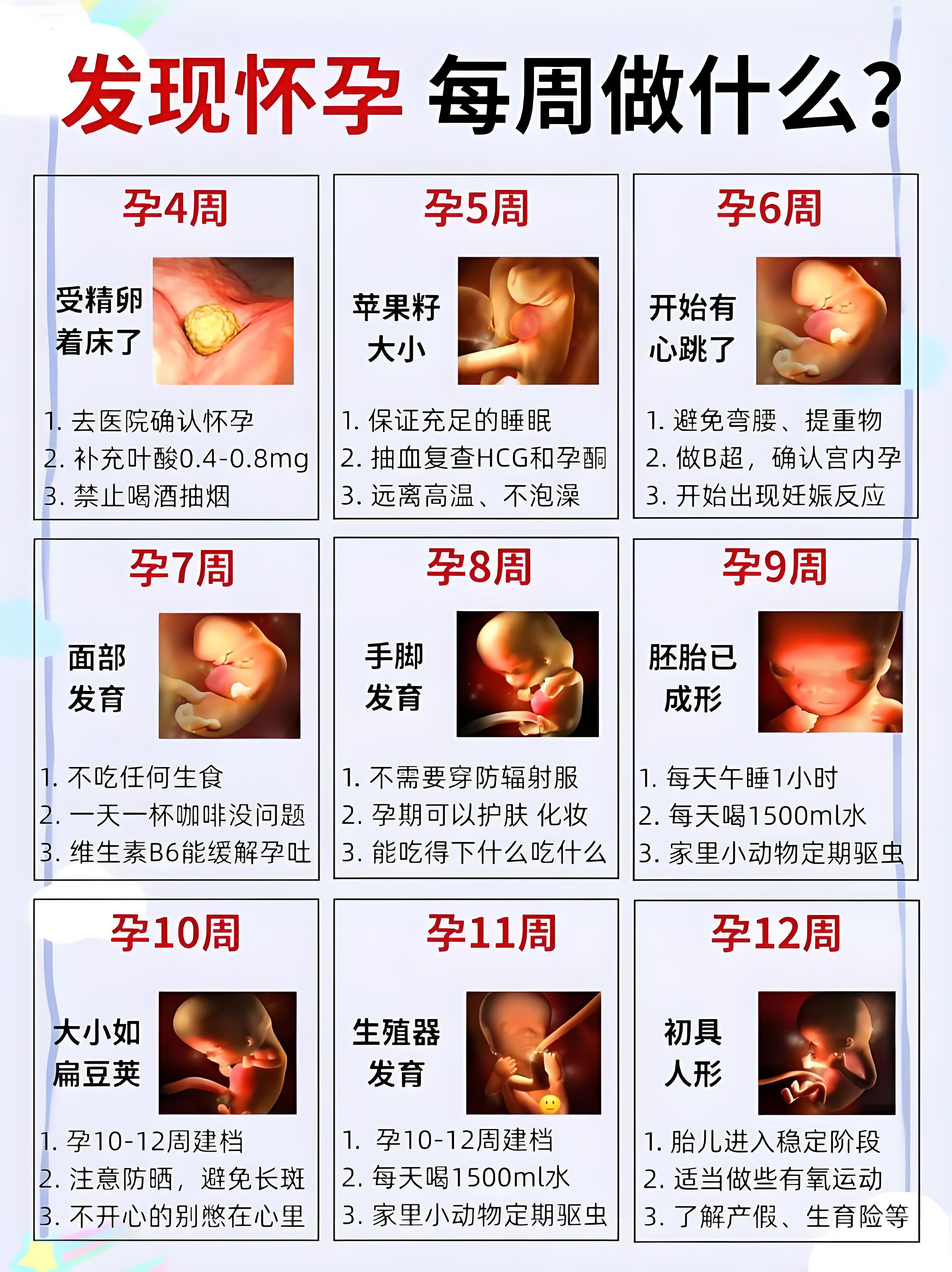 26周是几个月(22周到26周是几个月)