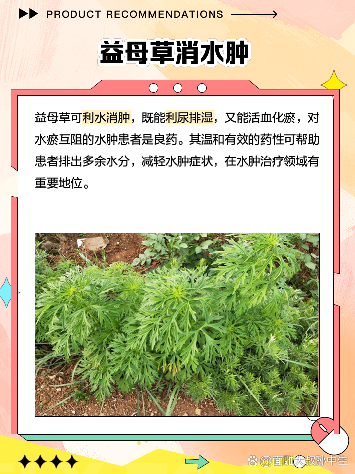益母草可以流产吗-(多喝益母草可以流产吗)