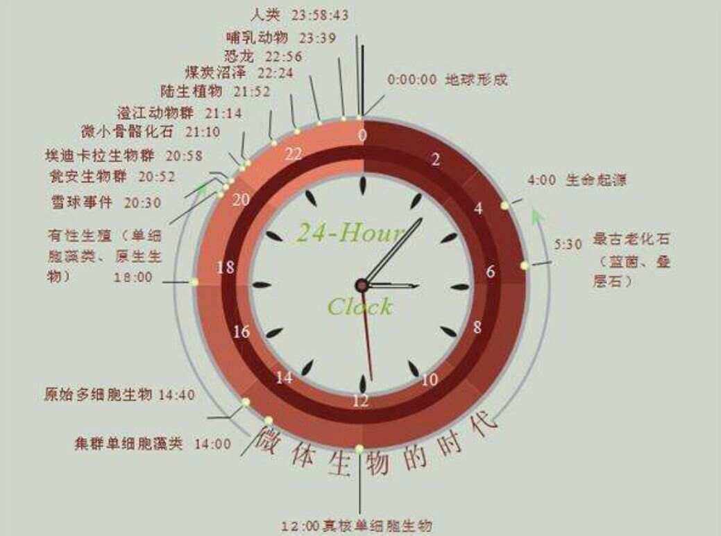 氧含量-(氧含量分析仪)