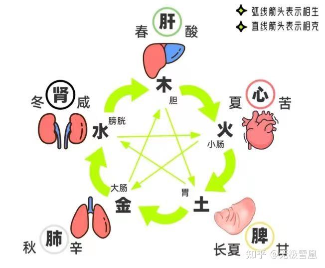 五味分别是什么(五味分别是什么味道)