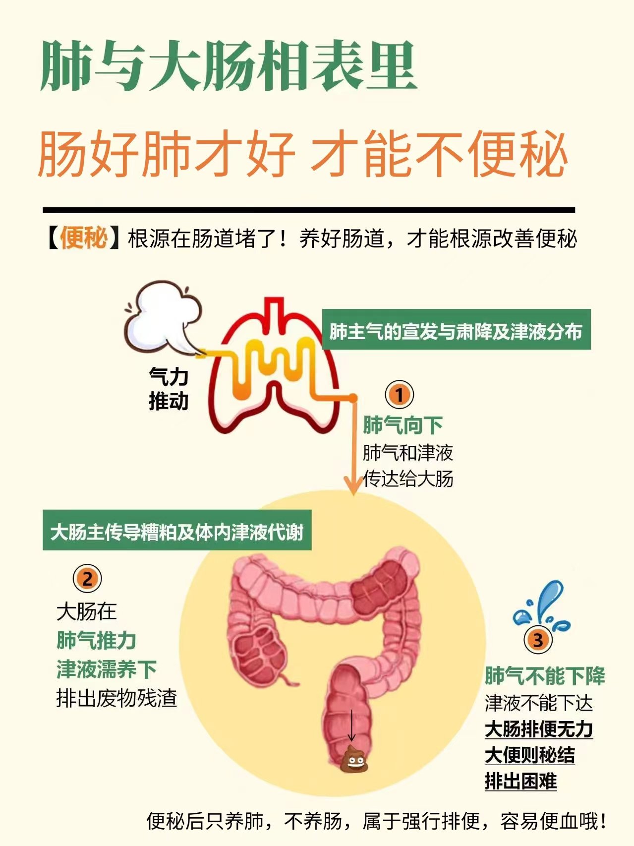 减肥便秘(减肥便秘了怎么办)