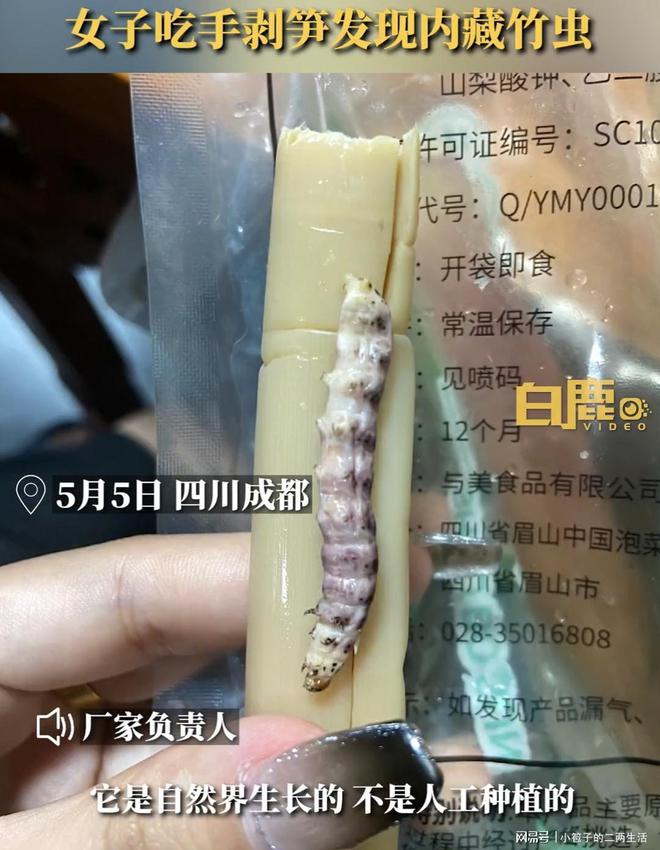 竹虫的功效和作用-中医竹虫的功效和作用
