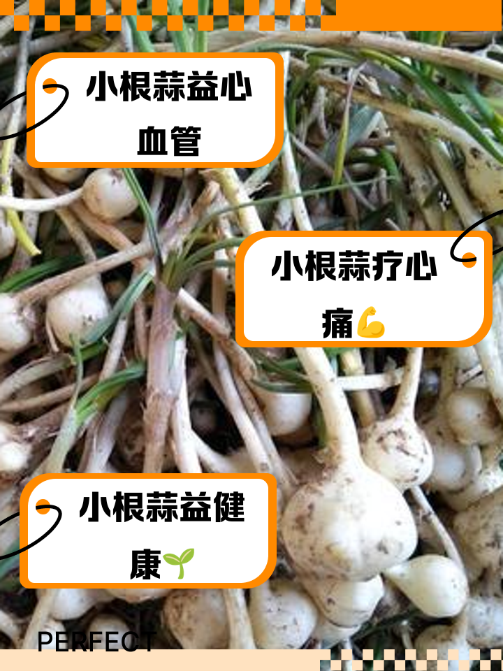 吃中药能吃蒜么-(吃中药能吃蒜么女性)