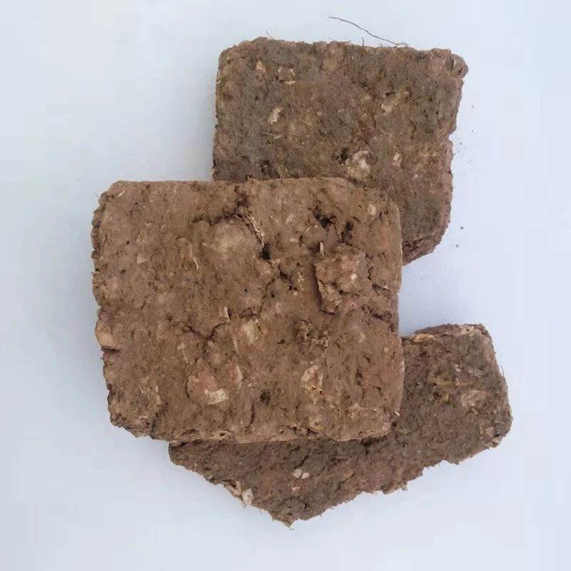 芜荑的功效与作用-(芜荑的功效与作用冶高热高烧发烧)