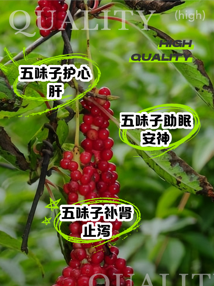 五味指的是哪五味-(五味指的是哪五味食物)
