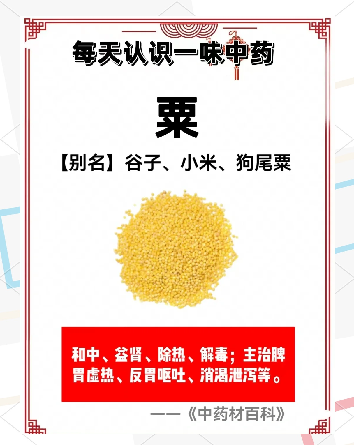 粟米的功效与作用(客家粟米的功效与作用)