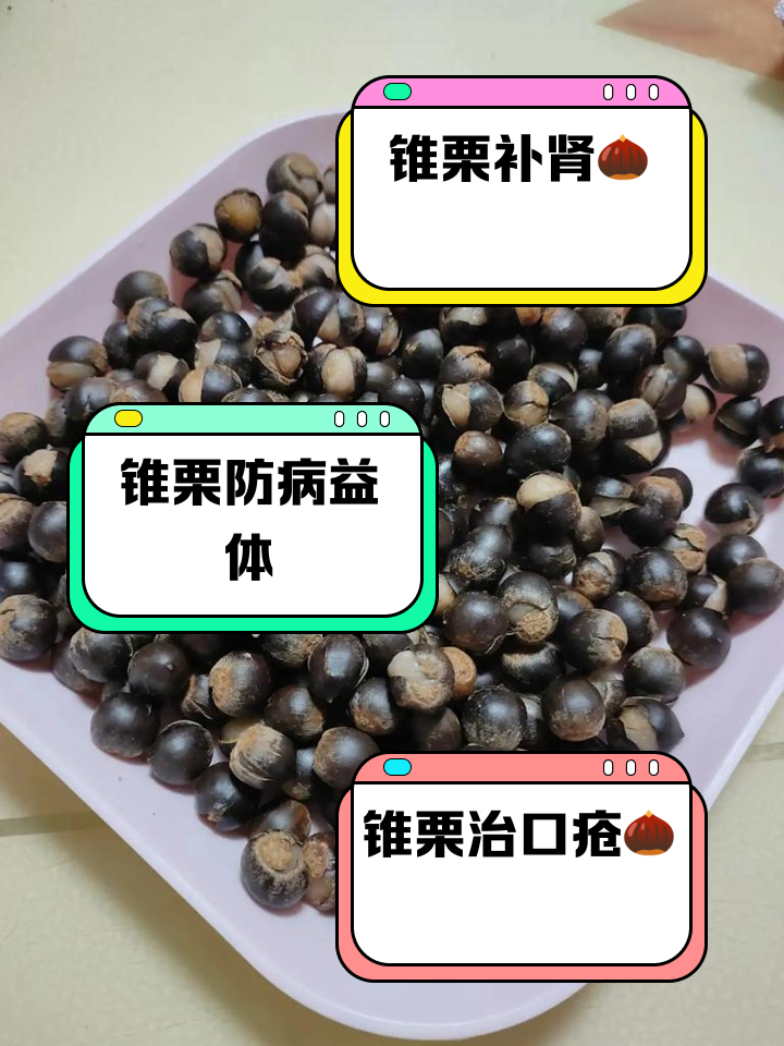 粟米的功效与作用(客家粟米的功效与作用)