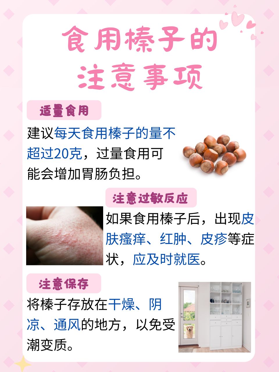榛子功效与作用(榛子功效与作用及食用方法)