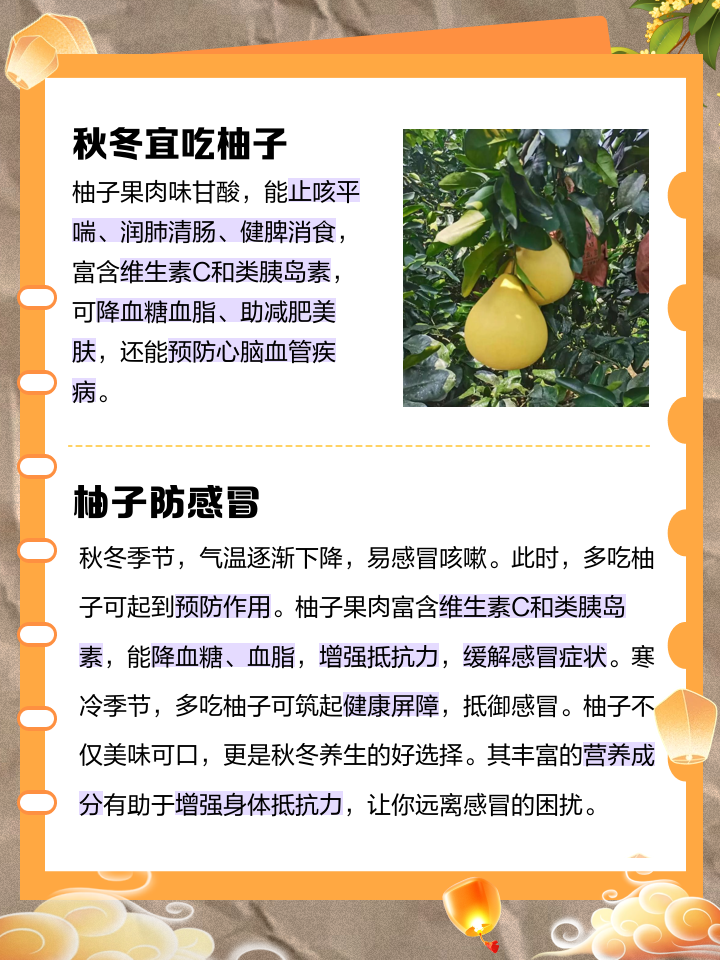 柚子的好处-柚子的好处有哪些