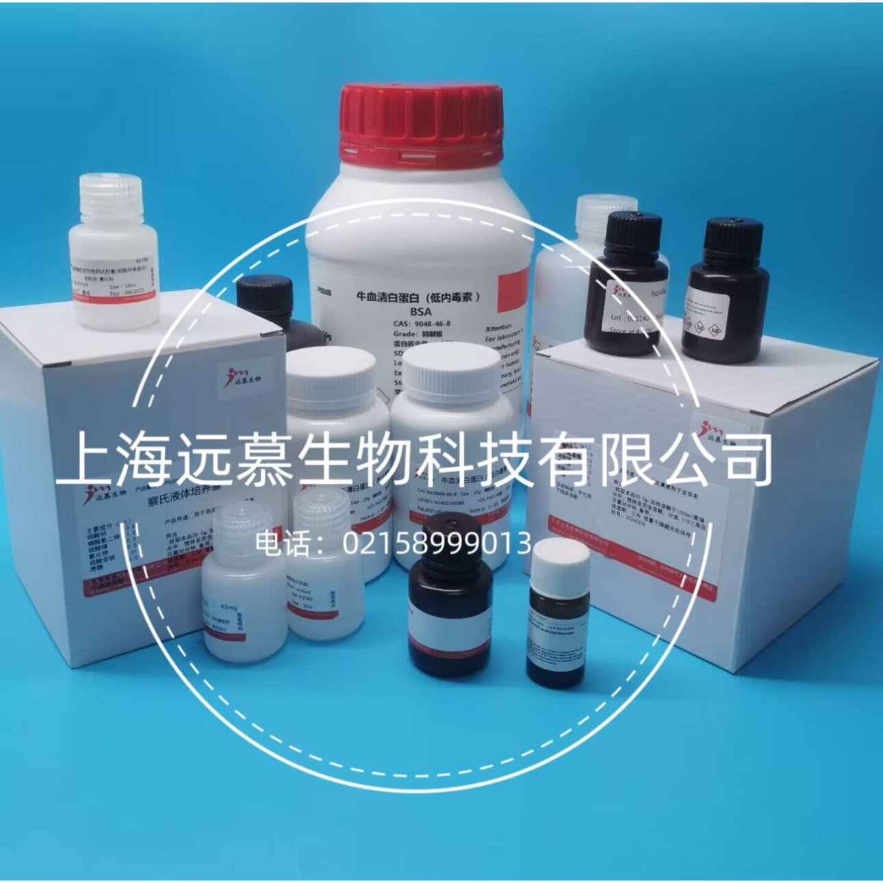 鞣酸是什么(鞣酸是什么意思)