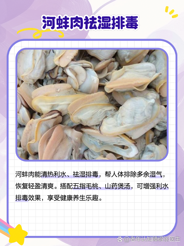蚌壳的功效与作用(蚌壳的功效与作用的功能与主治)