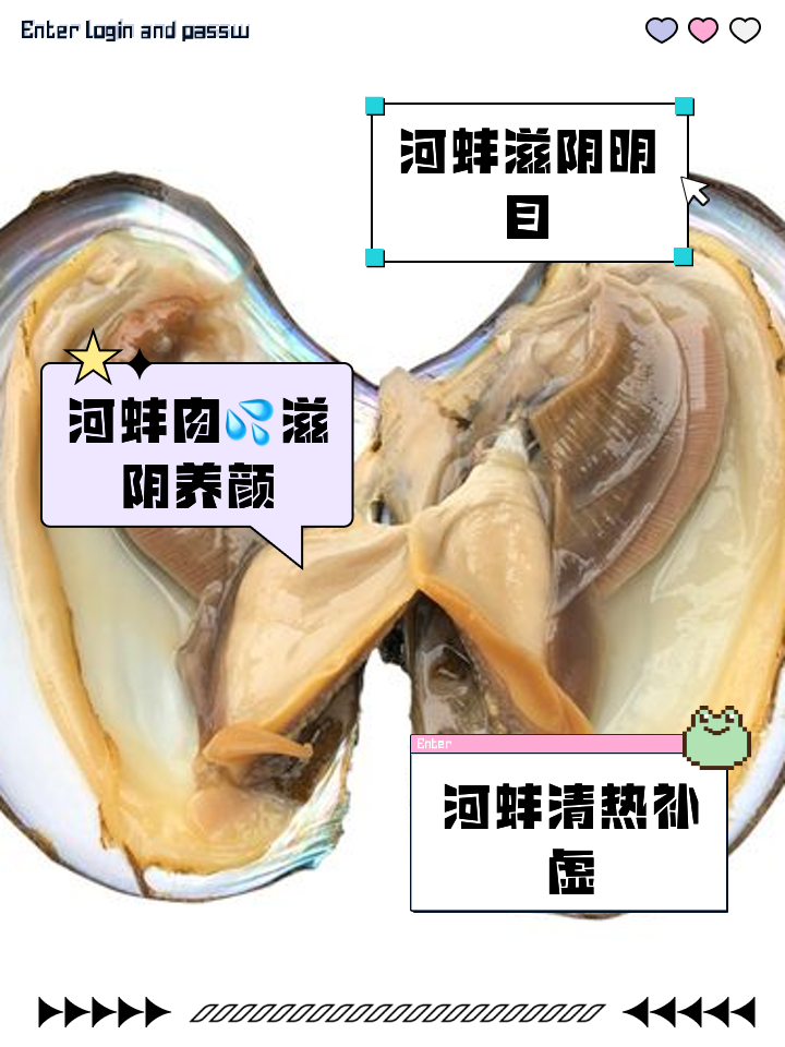 蚌壳的功效与作用(蚌壳的功效与作用的功能与主治)