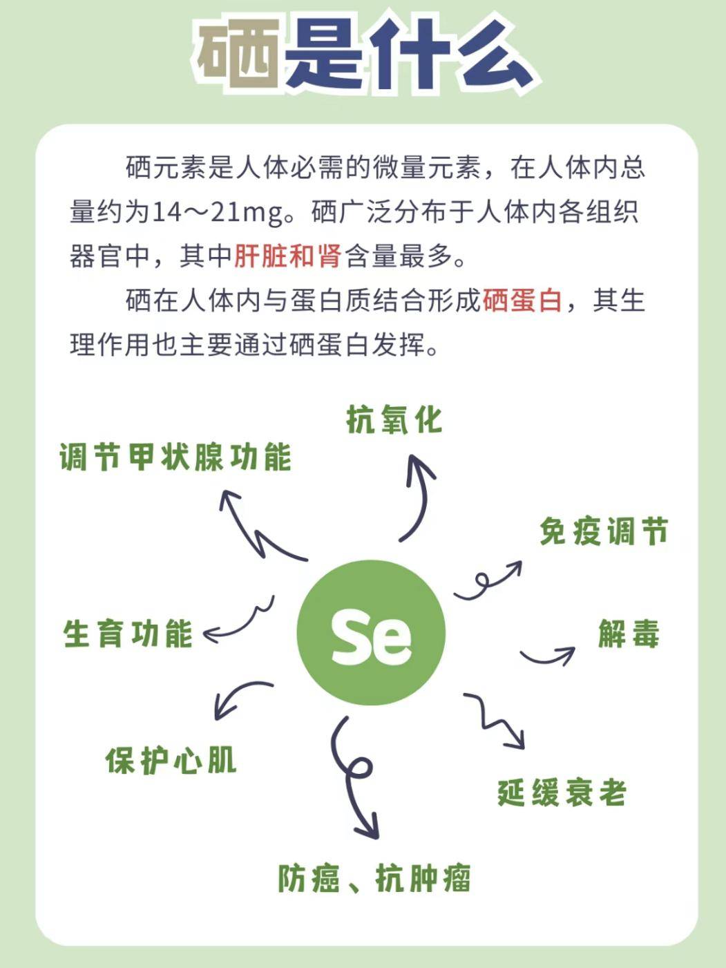 小米功效-黄豆绿豆百合小米功效