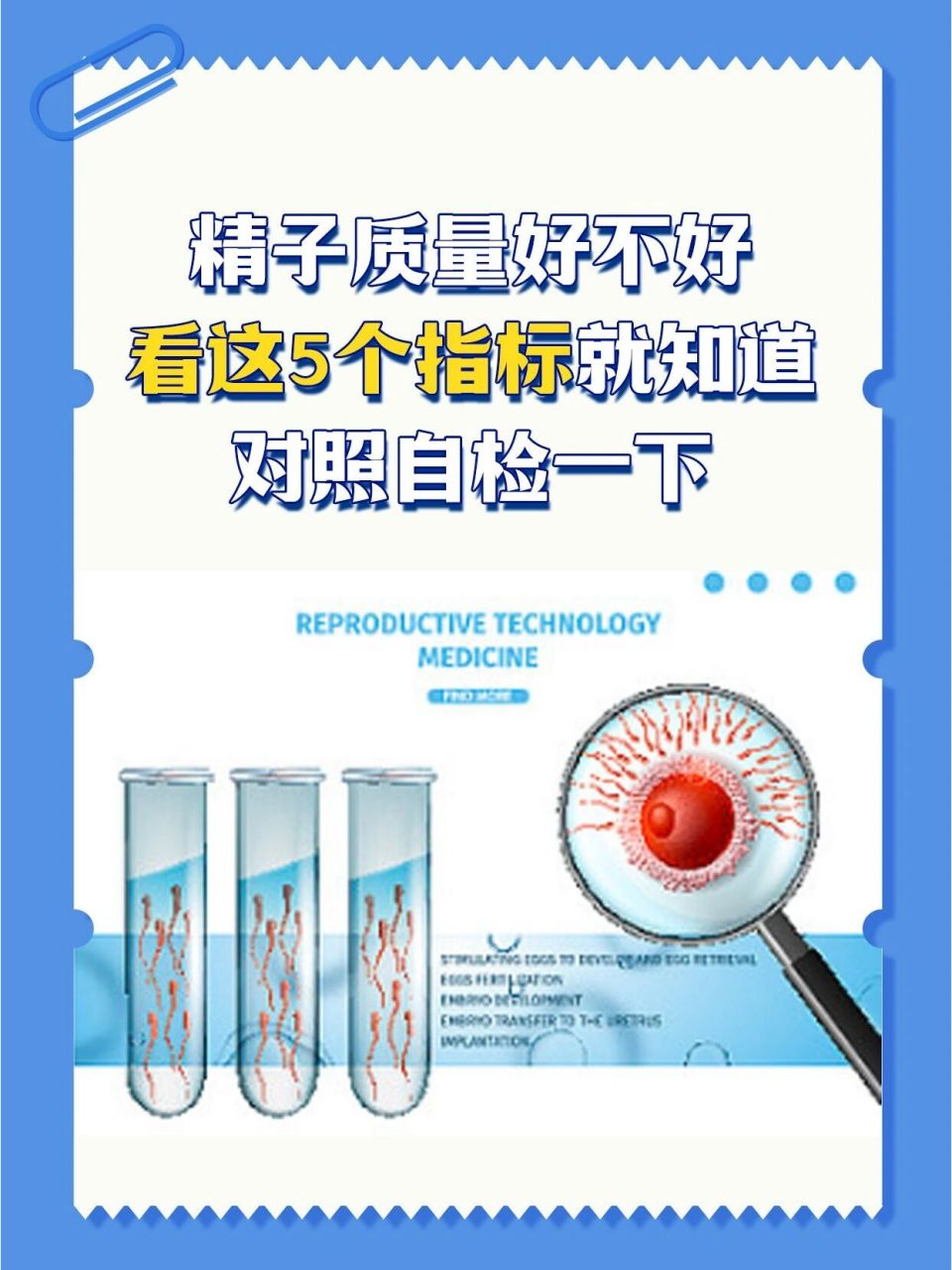 怎么判断精子质量(精量的质量如何提高)