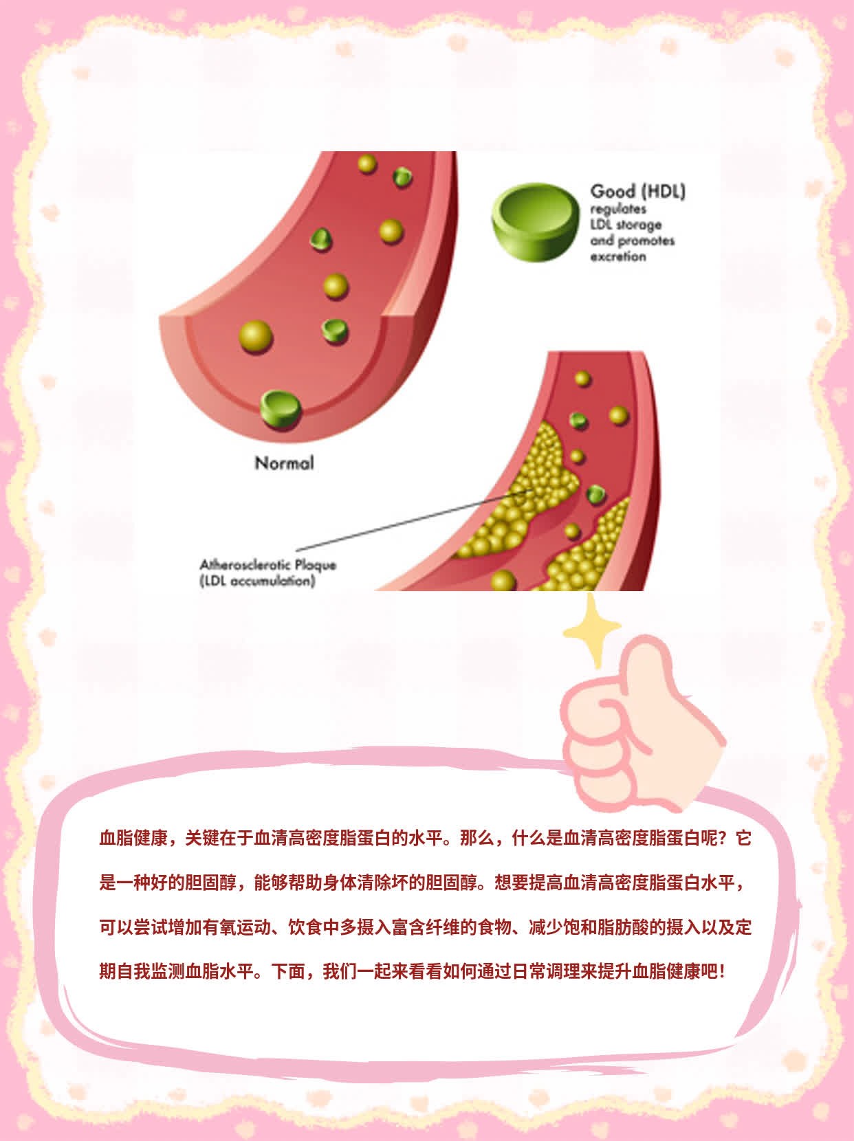 血清是什么意思(猫抓了打血清是什么意思)