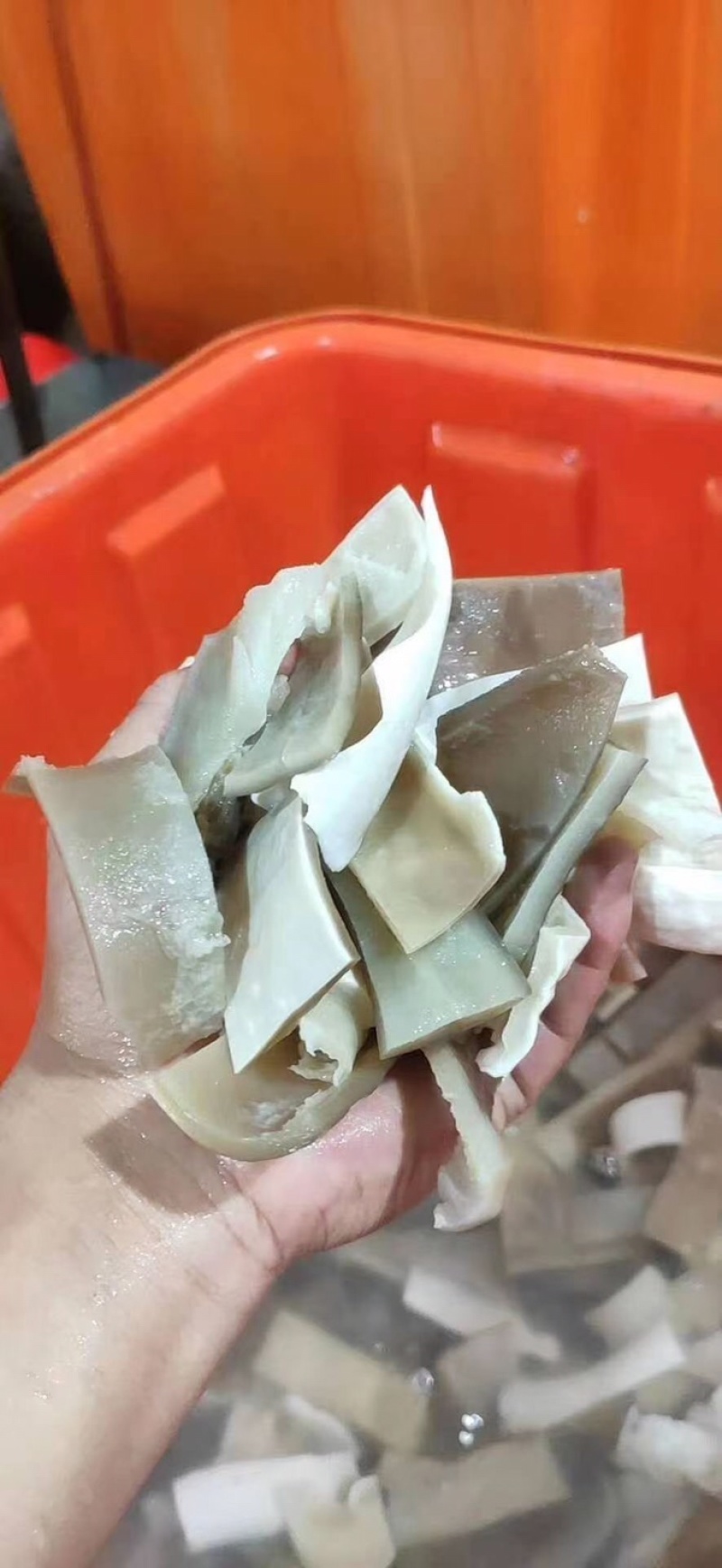 鲨鱼皮-(鲨鱼皮鞋子什么档次)