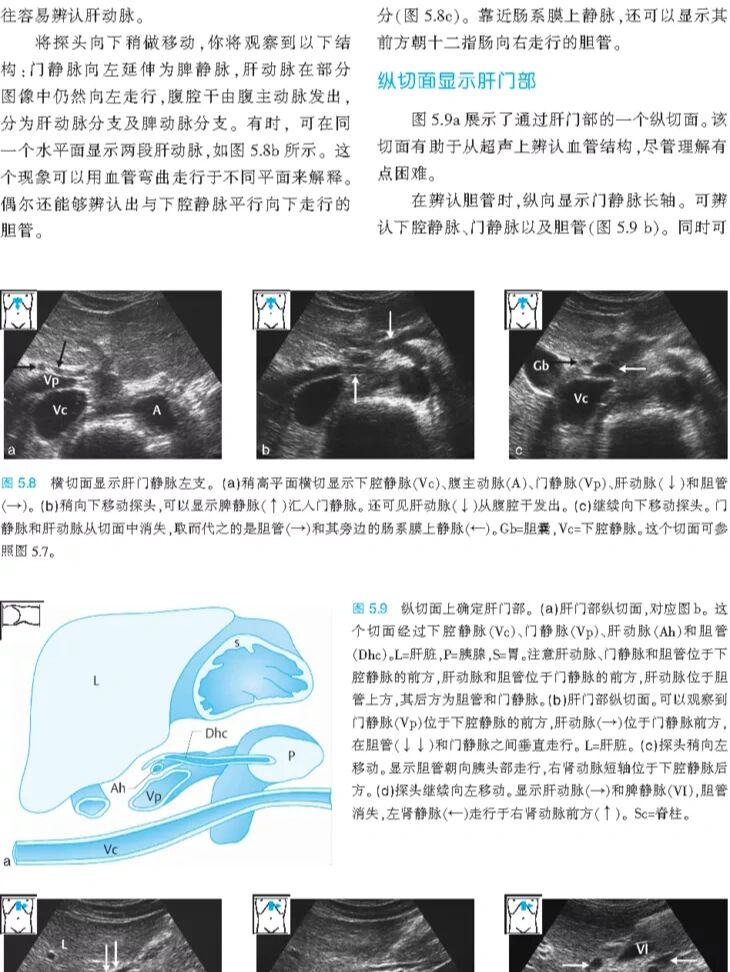 腹部超声检查什么-体检腹部超声检查什么