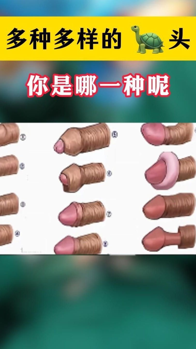 龟头冠-(龟头冠状沟)