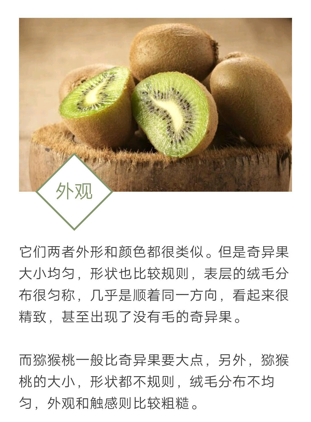 奇异果是猕猴桃吗(奇异果与猕猴桃的区别)