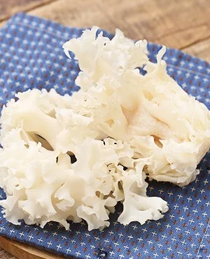 绣球菌(绣球菌怎么吃)