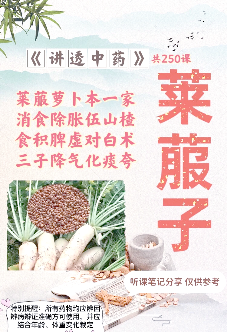 卜子的功效与作用-(卜子的功效与作用是什么呢)