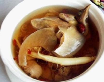 西洋参炖鸽子-西洋参炖鸽子的功效及禁忌