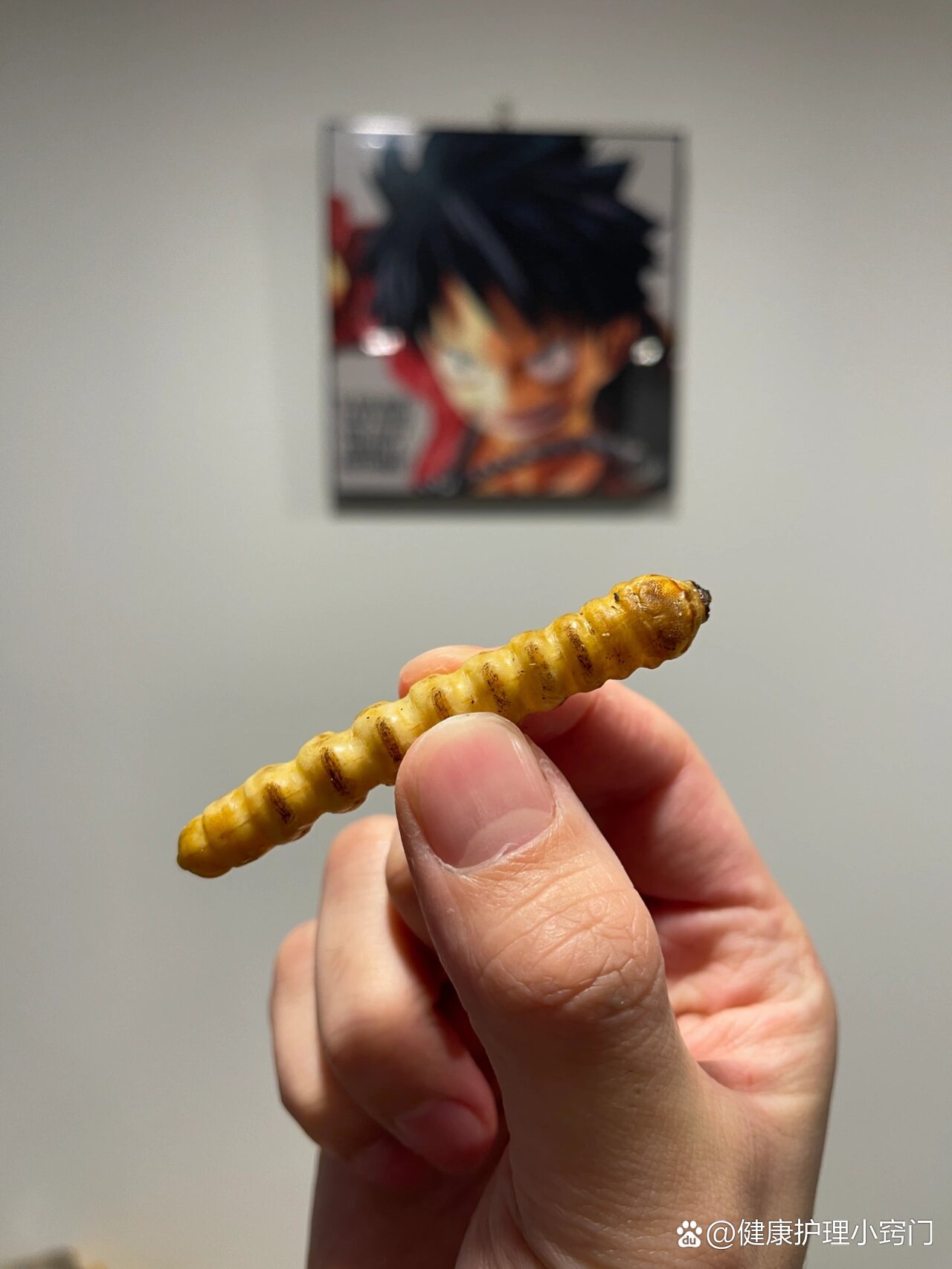 斗米虫怎么吃(斗米虫怎么吃法)