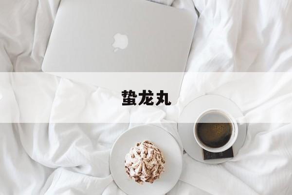 蛰龙丸(蛰龙丸图片)